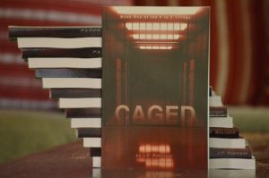 Caged, by JP Robinson